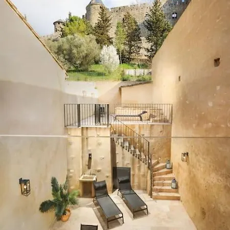 Longue Vie A La Reine - Piscine - Chateau Carcassonne Extérieur photo