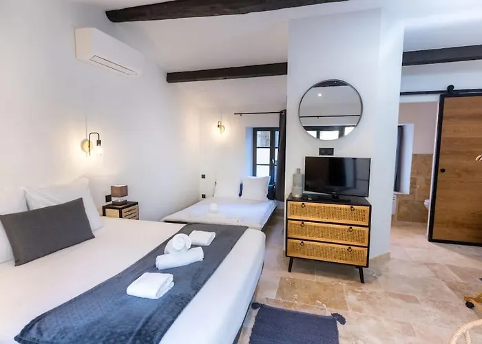 Longue Vie A La Reine - Piscine - Chateau
